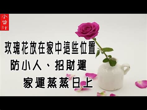 房間放玫瑰|【房間放玫瑰】房間放玫瑰助桃花運！公開居家最佳擺放風水位置。